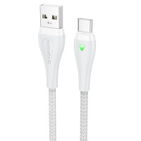 Дата кабель Borofone BX100 Advantage USB to Type-C (1m)